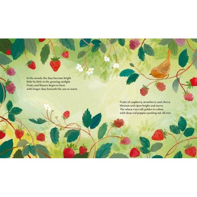 Sassi Story Book - Summer