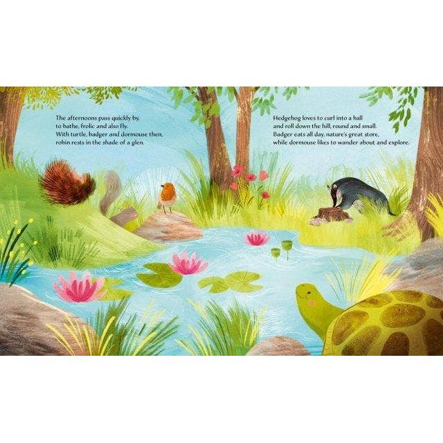 Sassi Story Book - Summer