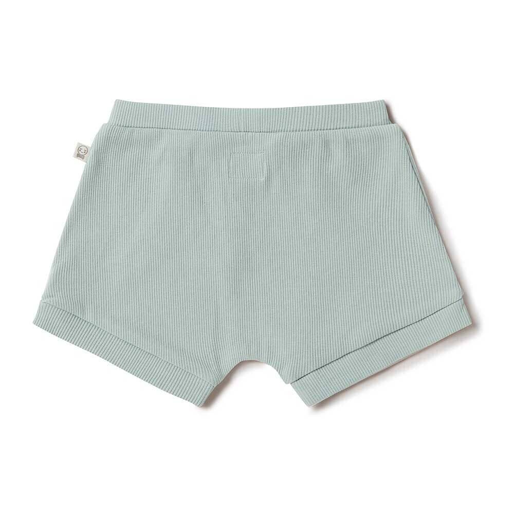 Snuggle Hunny - Sage Shorts