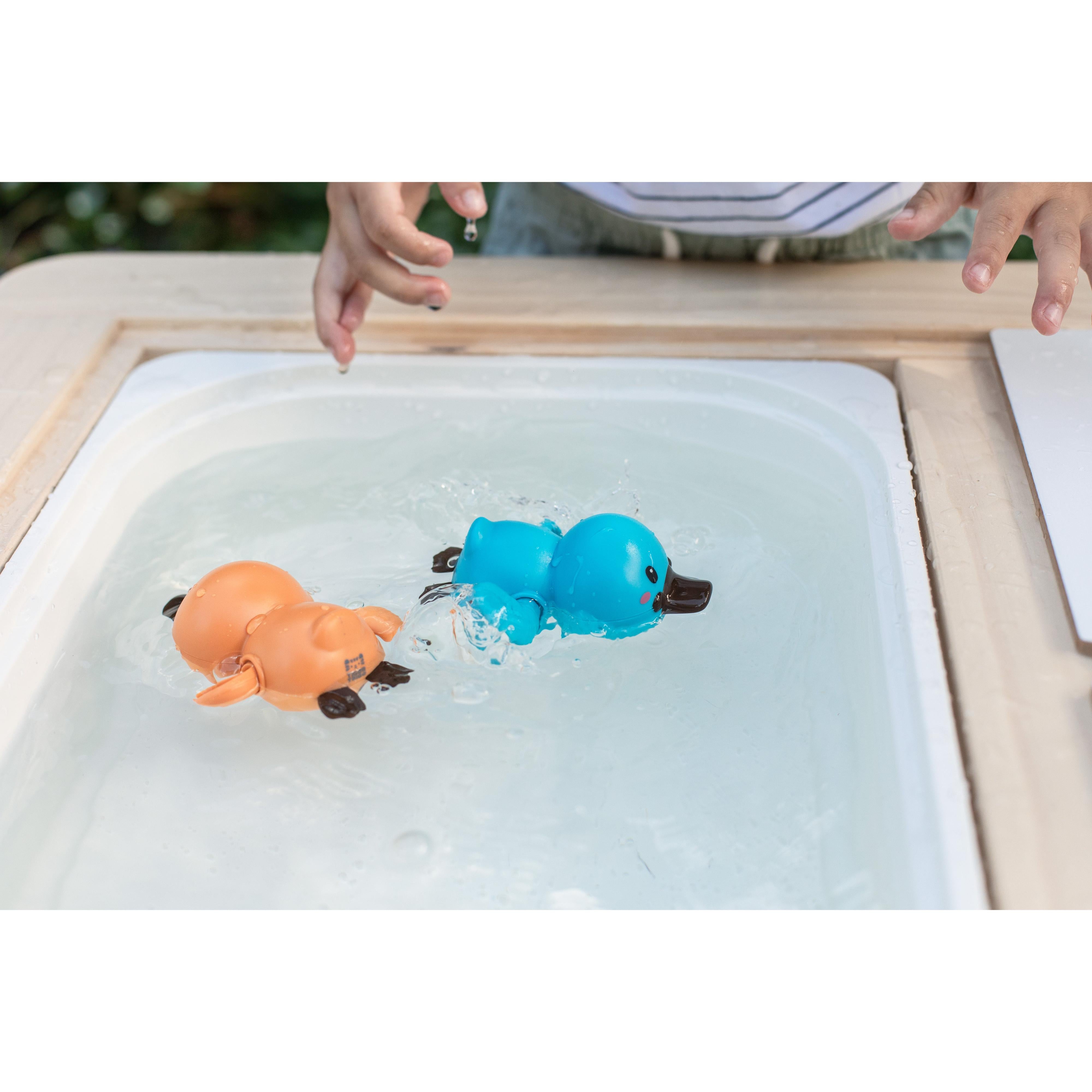 Tiger Tribe - Bath Racers - Platypuses