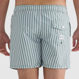 Middleton Sage Swim Shorts
