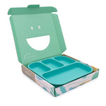 Plant-Based Bento-Style Divided Plates (22x21cm) - Individual - Green