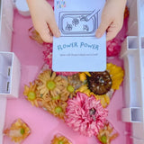 The Play Card - OUTDOOR ADVENTURE