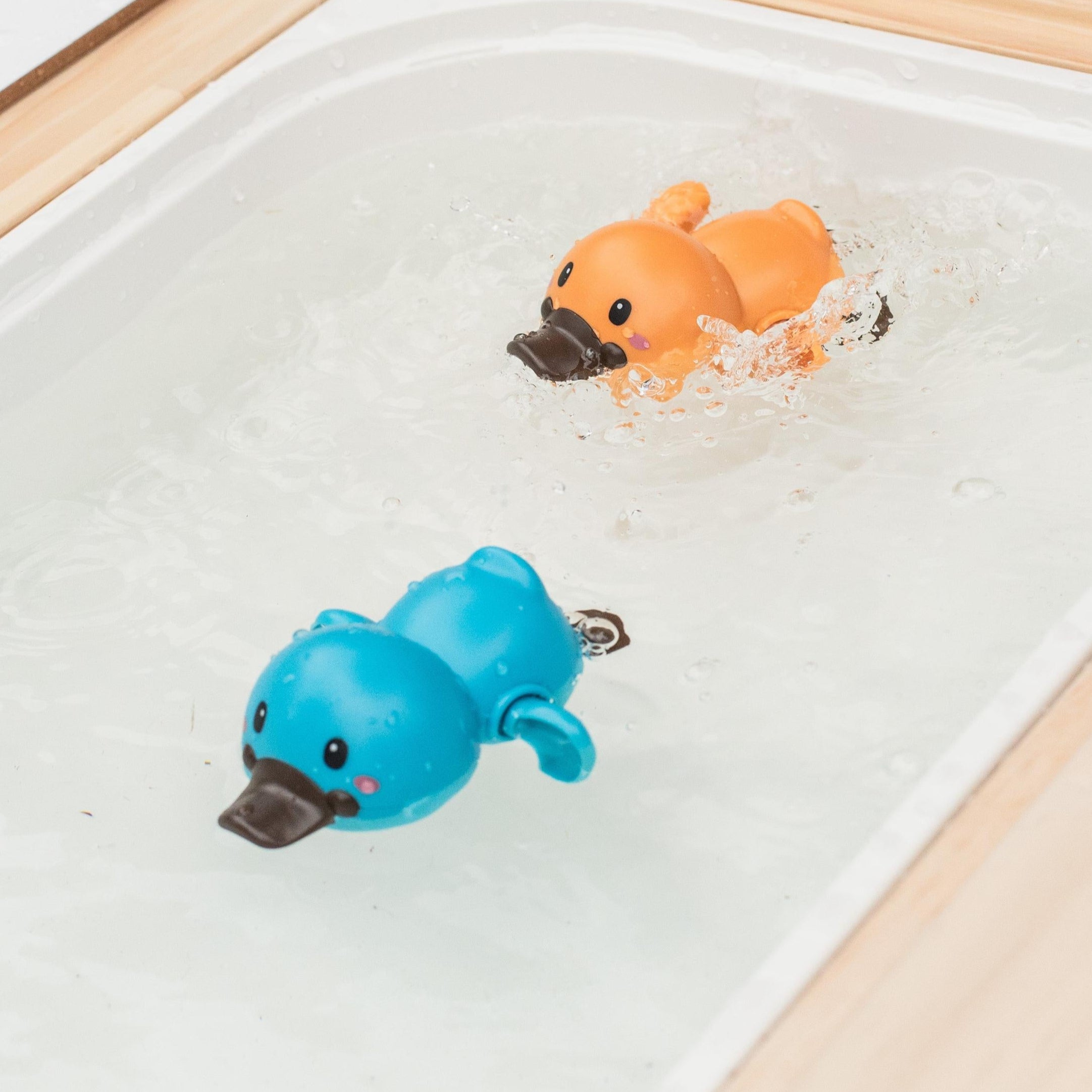 Tiger Tribe - Bath Racers - Platypuses