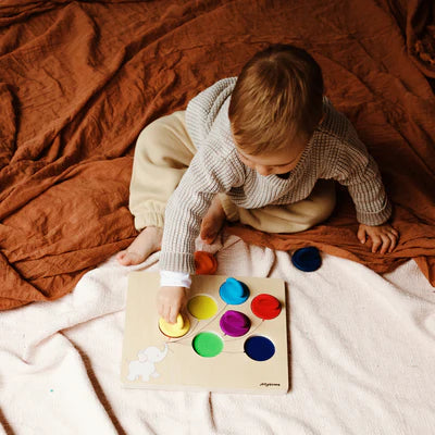 Jellystone - Ballon Colour Sorter